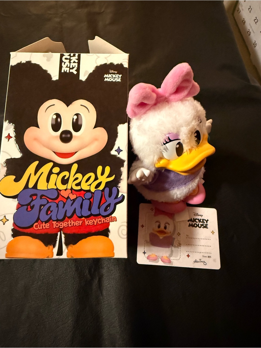 Daisy Duck Plush Toy - Purple & Pink Duck Stuffed Figure from Mickey Family set